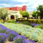 Manosque: L'Occitane en Provence Guided Factory Tour - What Reviewers Say
