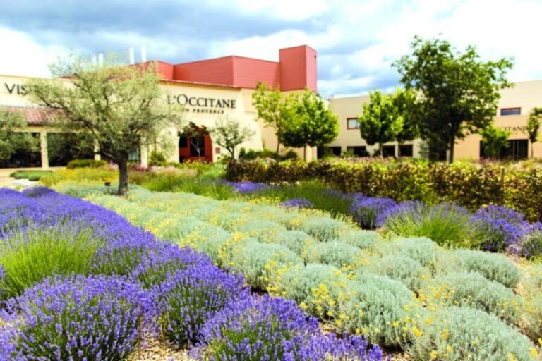 Manosque: L'Occitane en Provence Guided Factory Tour - What Reviewers Say