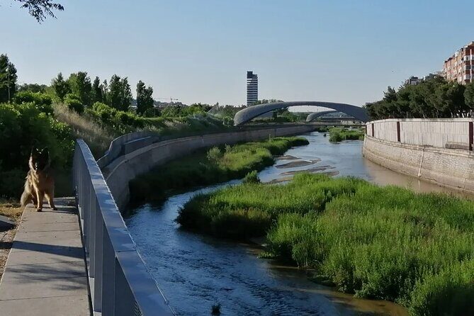 Manzanares Rivers Story: A Self-Guided Audio Tour in Madrid - The Sum Up: Who Is This Tour Best For?