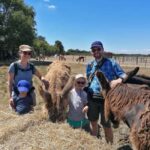 Marais Poitevin: Discovery day in the footsteps of the Baudet - Practical Details and What to Expect