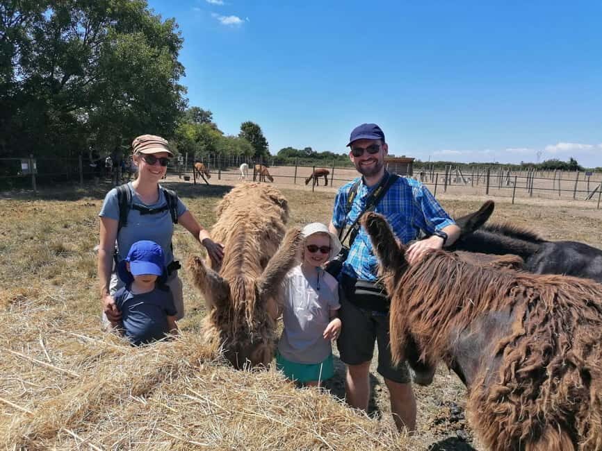 Marais Poitevin: Discovery day in the footsteps of the Baudet - Practical Details and What to Expect