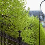 Marais semi private walking tour - A Closer Look at the Marais Semi-Private Tour