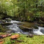 Maramure Mountain Trail - Who Should Consider This Tour?