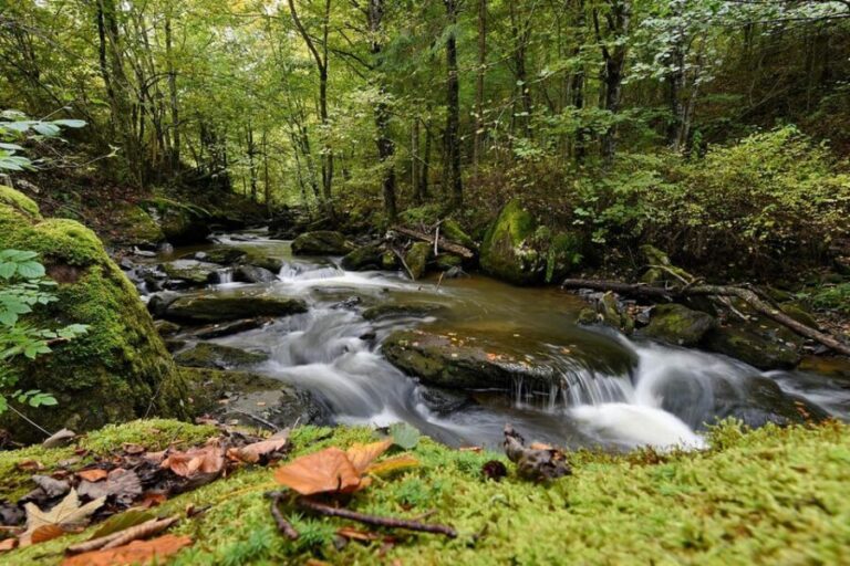 Maramure Mountain Trail - Who Should Consider This Tour?