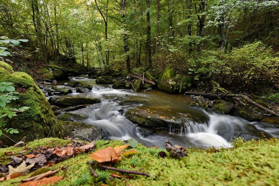 Maramure Mountain Trail - Who Should Consider This Tour?