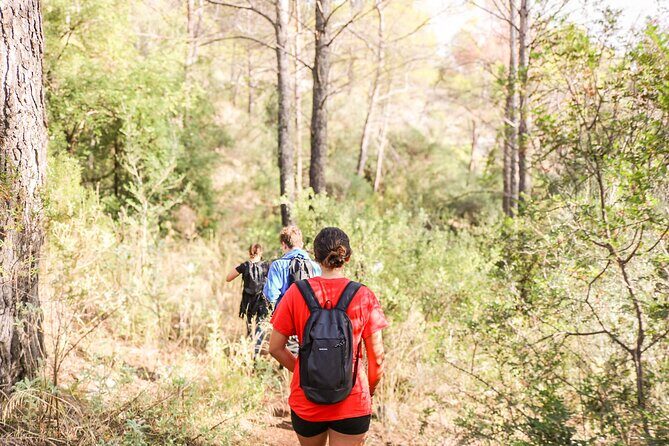 Marbella Guided Hiking and Foraging Adventure - An In-Depth Look at Marbella’s Guided Hiking and Foraging Tour