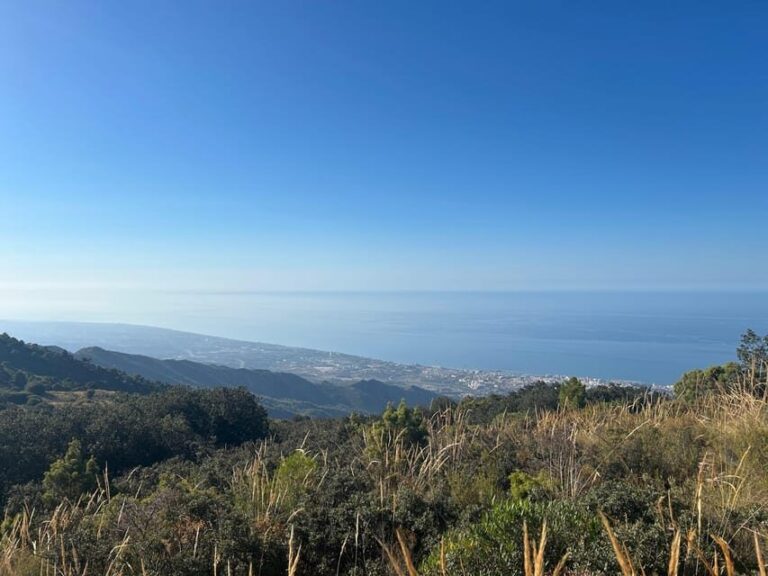 Marbella: "La Concha" mountain tour including snack and drink - Starting Point at Refugio De Juanar