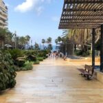 Marbella Old Town group tour with a True Local - Price and Value