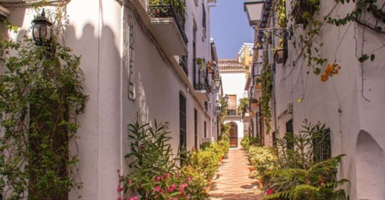 Marbella: Private Customizable Walking Tour with Guide - The Experience: What to Expect from the Tour