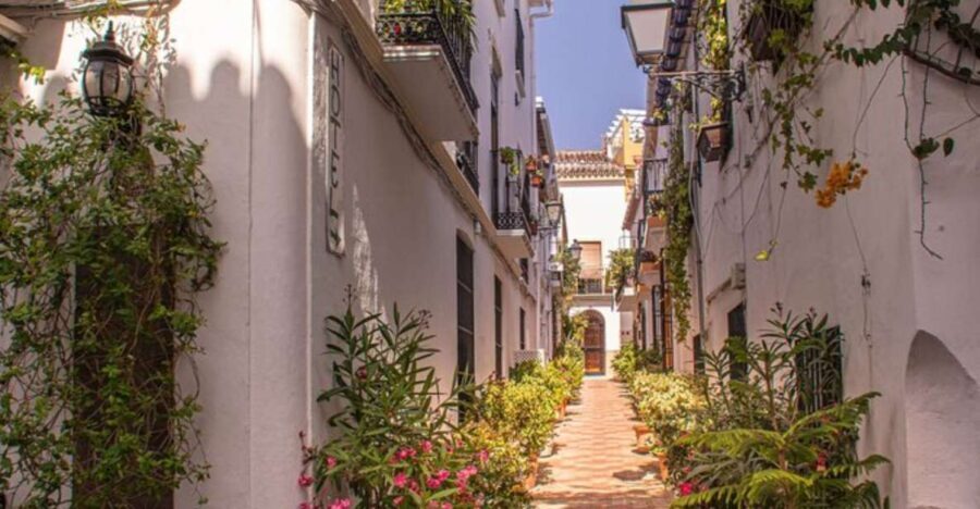 Marbella: Private Customizable Walking Tour with Guide - The Experience: What to Expect from the Tour