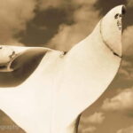 Marble Carving or Mosaic Basic Techniques -3 hour lesson - - Detailed Itinerary Breakdown