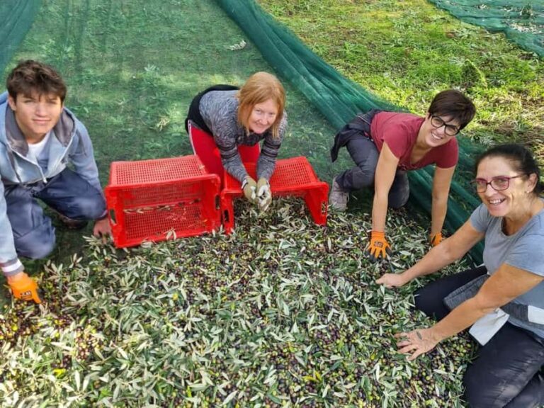 Maremma: Oil tasting with an aperitif of typical products - Who is this tour best for?