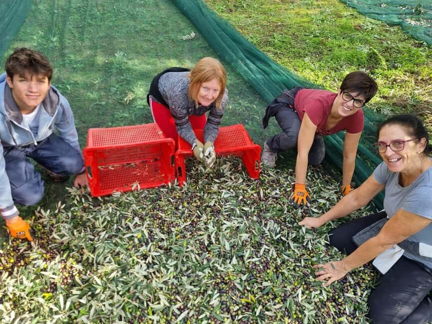 Maremma: Oil tasting with an aperitif of typical products - Who is this tour best for?