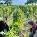 Margaux & the Medoc private wine tour in a classic Citroën car - The Experience: What Travelers Are Saying