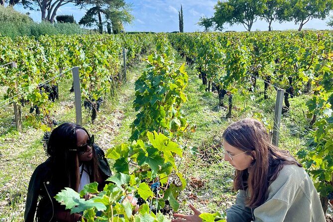 Margaux & the Medoc private wine tour in a classic Citroën car - The Experience: What Travelers Are Saying