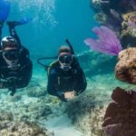 Marmaris: Scuba Diving Experience - The Itinerary Breakdown