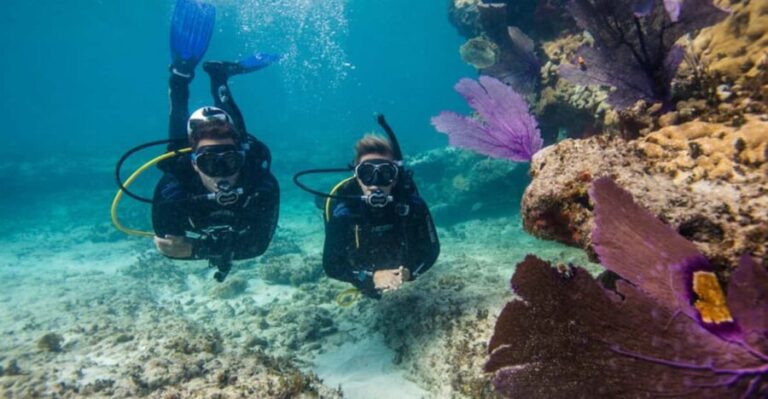 Marmaris: Scuba Diving Experience - The Itinerary Breakdown