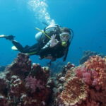 Marmaris: Scuba Diving, Incl. 2 Dive, Lunch w/Hotel Transfer - The Value & What You Get