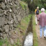 Maroços / Mimosa Valley - Levada Walk - Who Will Love This Tour?