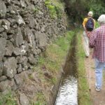 Maroços Mimosa Valley Levada Walk from Funchal - Authentic Traveler Insights