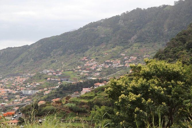 Maroços - Vale das Mimosas (Half Day Walk) - Who Should Consider This Tour?