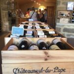 Marseille: Avignon and Côtes du Rhône Wine Tasting Tour - What Makes This Tour Stand Out?