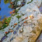 Martvili Canyon and Hanged Bridges of Okatse - Who Would Love This Tour?