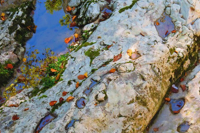 Martvili Canyon and Hanged Bridges of Okatse - Who Would Love This Tour?