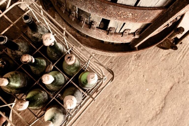 Marzamemi: Dioniso Wine Tour, Tasting & Typical Dishes - The Bottom Line