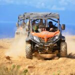 Masca Valley Adventure Guided Buggy Tour - Is This Tour Worth It?