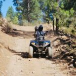 Masca Valley Guided Buggy Tour. Small Group. - The Thrill of the Drive