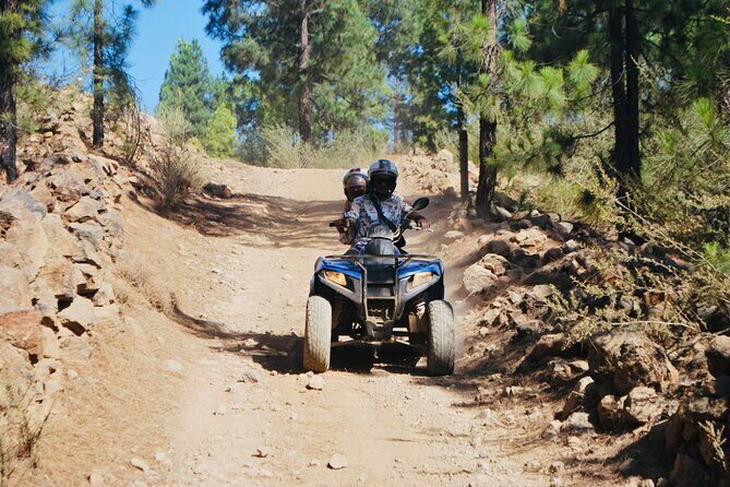 Masca Valley Guided Buggy Tour. Small Group. - The Thrill of the Drive