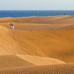 Maspalomas: Southern Coast E-Bike Tour Option Tapas Tasting - Botanical Gardens and Tropical Plants