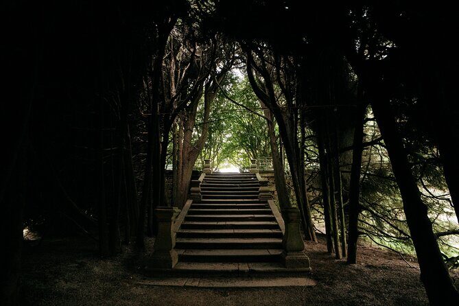 Mateus Palace, History, Art and Douro Wines - Authentic Insights from Reviews