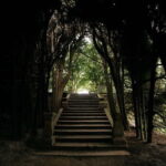 Mateus Palace - In the Footsteps of Wine History - The Itinerary Breakdown