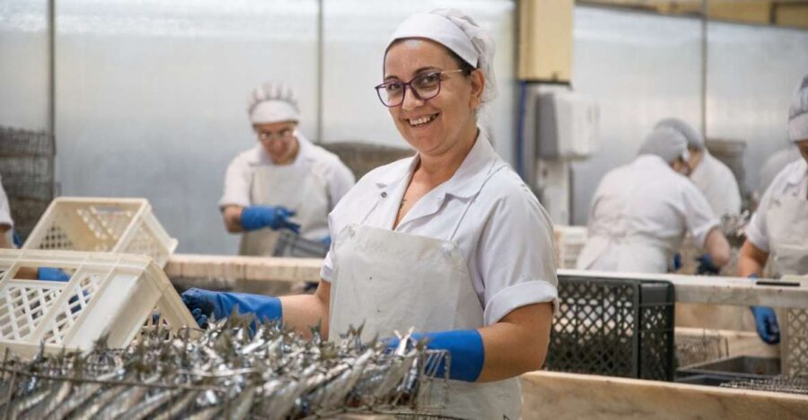 Matosinhos: Conservas Pinhais Factory Tour - Practical Aspects: What You Need to Know