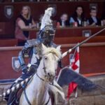 Medieval Castle with dinner from Puerto de la Cruz in TenerifeSur - Who Will Enjoy This Tour?