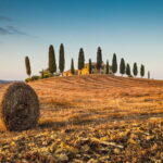 Medieval Tour in Monteriggioni and Val d'Orcia from Florence - Who Will Love This Tour?