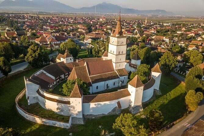 Medieval Transylvania Full-Day Private Tour from Brasov - Insights from Reviewers and What You Can Expect