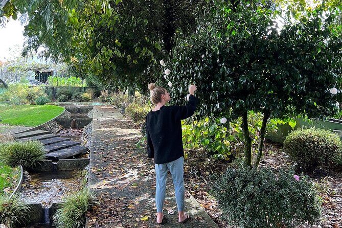 Meditation Experience at a Lovely Farm in Porto - The Authentic Charm According to Reviews