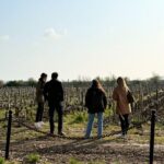 Medoc 1855 Individual Full Day Wine Tour - What the Reviews Reveal