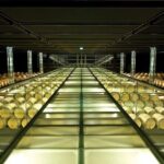 Medoc Private Half Day Wine Tour from Bordeaux - Why This Tour Is Worth Considering