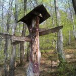 Medvednica Hiking and Chestnuts Picking Tour from Zagreb - Why Choose This Tour?