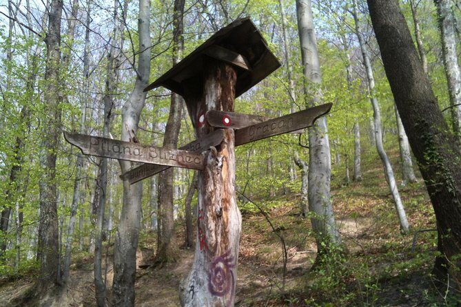 Medvednica Hiking and Chestnuts Picking Tour from Zagreb - Why Choose This Tour?