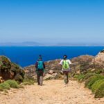 Meet the trees in Cyclades Hiking (Small group experience) - Who Should Consider This Tour?