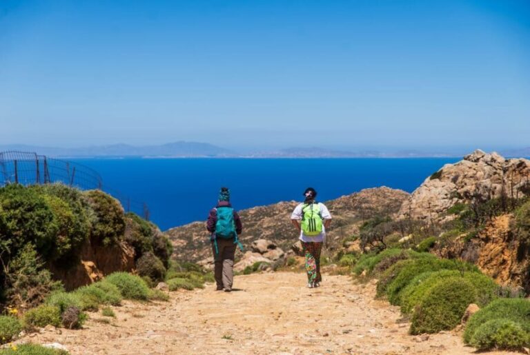 Meet the trees in Cyclades Hiking (Small group experience) - Who Should Consider This Tour?