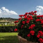 Menu with a View in the enchantment of the Tuscan hills - Analyzing the Value & Practicalities