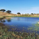 Mértola: Traditional Wine Tasting Experience - FAQ