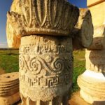 Metaponto: Private Guided Tour to the Archeological Site - Who Should Book This Tour?