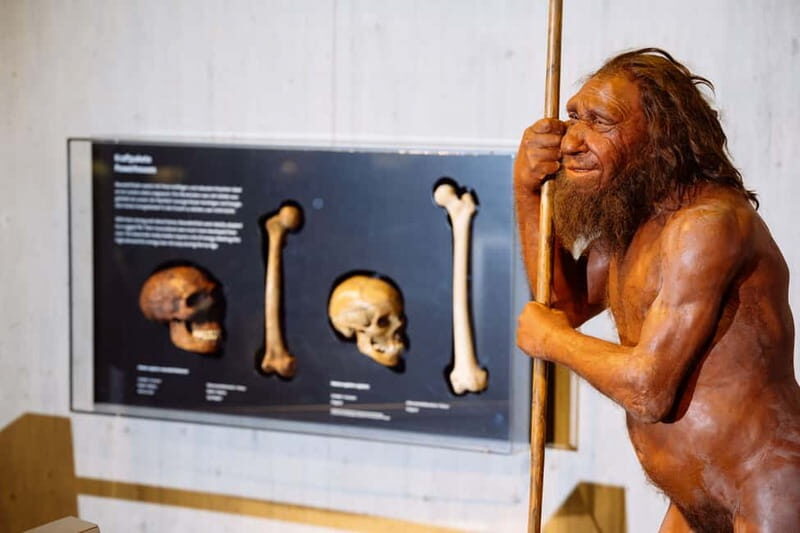 Mettmann: Neanderthal Museum Admission Ticket - Who Should Visit?